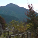 白鳥山